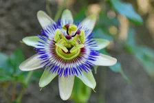 __6.webp