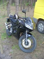 y_a6b51955.webp y_a6b51955.webp