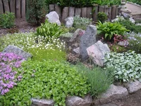 02.webp