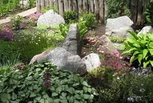 03.webp