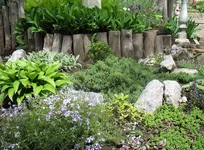 04.webp
