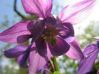 05.webp