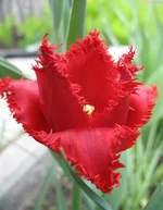 08.webp