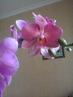Фото0044.jpg