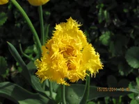 IMG_0168.webp