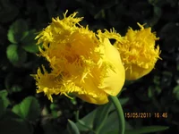 IMG_0169.webp