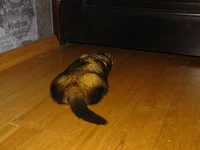 IMG_0317.jpg