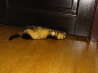 IMG_0315.jpg