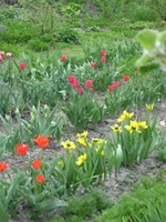IMG_1042.webp