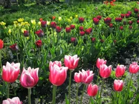 IMG_1049.webp
