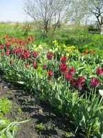 IMG_1059.webp