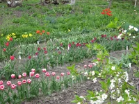 IMG_1012.webp