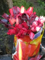 IMG_1075.webp