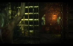 witcher2 2011-05-17 01-57-53-45.webp