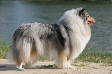 019445f5e87a.webp