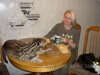 151.webp