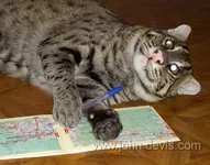 399.webp