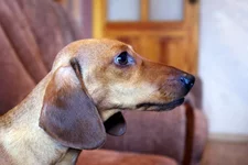  Туся_min.webp