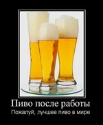 37.webp