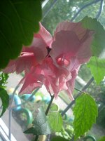 y_92325d46.jpg