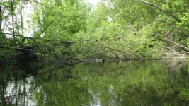 IMG_0445.jpg