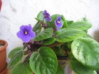 23-Река Иртыш_0586.webp