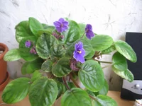 23-Река Иртыш_0587.webp