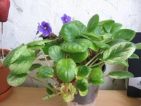 23-Река Иртыш_0588.webp