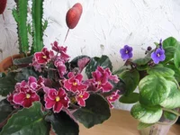 Emergency23-Река Иртыш_0589.webp