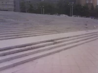 DSC03629.webp