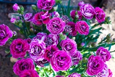 IMG_0716_edited-1.webp