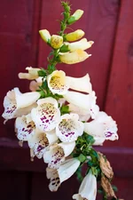IMG_0717_edited-1.webp