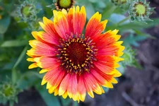 IMG_0718_edited-1.webp