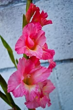 IMG_0723_edited-1.webp