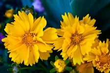 IMG_0725_edited-1.webp