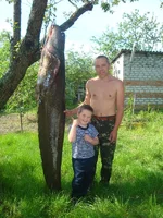 сом.jpg