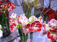 IMG_0706.webp