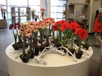 IMG_0722.webp