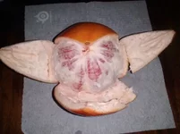 5hhcgj.webp