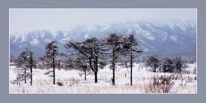-6 30х60 без корр.webp