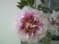 -0094.webp