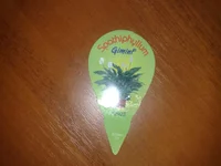 23052011451.webp