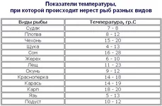 x_c926300f.webp
