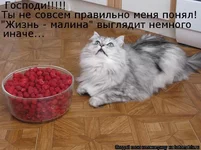 914016.webp