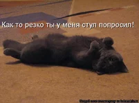 913653.webp