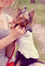 DSC_0427л.webp