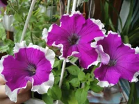 DSC03304.webp