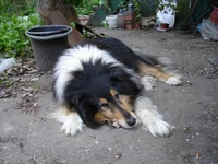 DSC09352-1.jpg