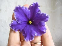 Rodeo Roundup_0571.webp