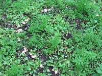  001.webp